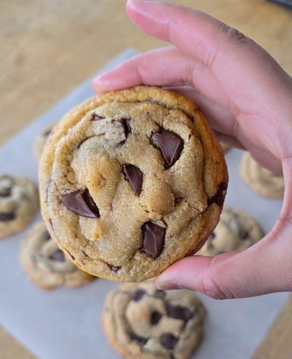Thick and Chewy Bakery-Style Cookie: Chocolate&nbsp;Walnut